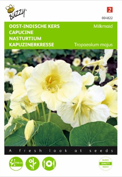 Garden Nasturtium Milkmaid (Tropaeolum) 24 seeds BU